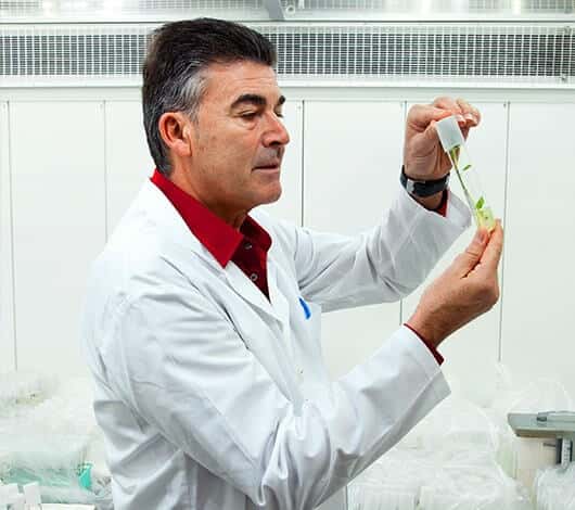  - Laborantin-e en biologie